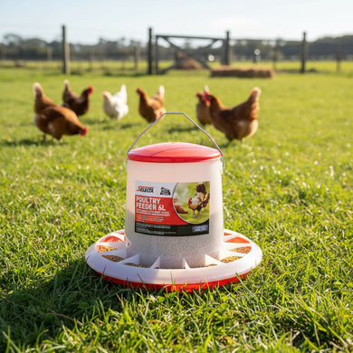 Selecta Plastic 6L Poultry Feeder or 6L Poultry Waterer